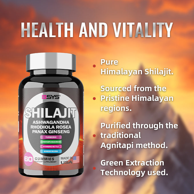 SHILAJIT GUMMIES 60'S